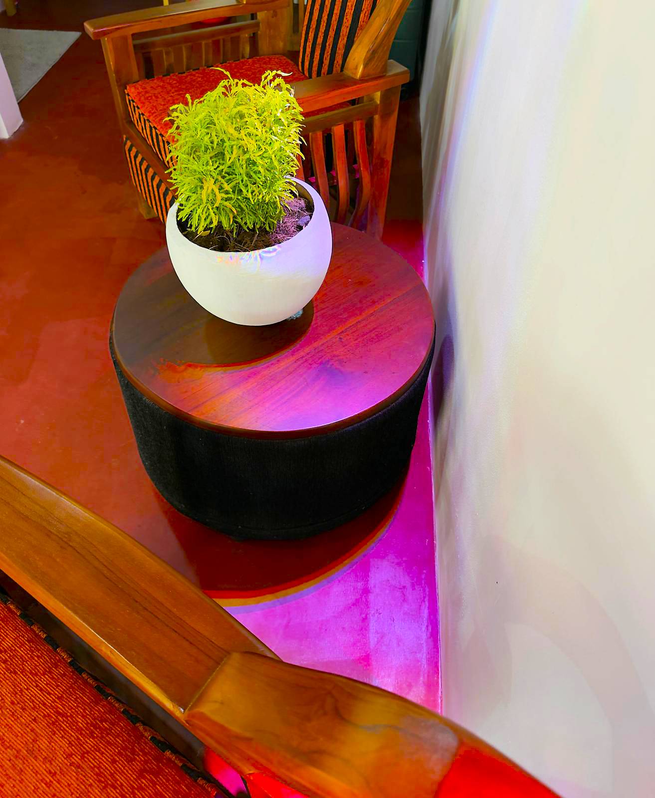 Morning yoga Lion Resort